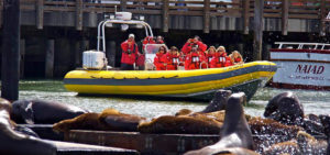 People in red jackets and life vests on yellow boat looking at sea lions