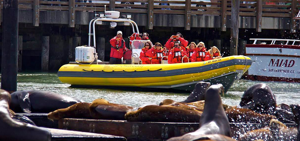People in red jackets and life vests on yellow boat looking at sea lions