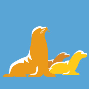 Sea lion illustration