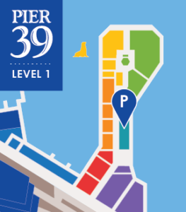 P 1 map