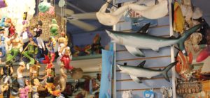 Hanging sharks and sea shells