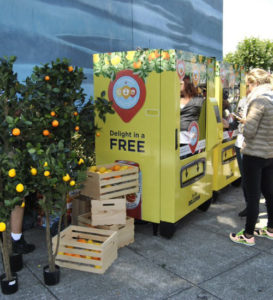 Pellegrino activation at PIER 39