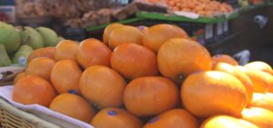 Fresh oranges at Vlahos Fruit Orchard