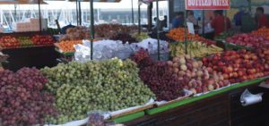 Fresh grapes and peaches at Vlahos Fruit Orchard