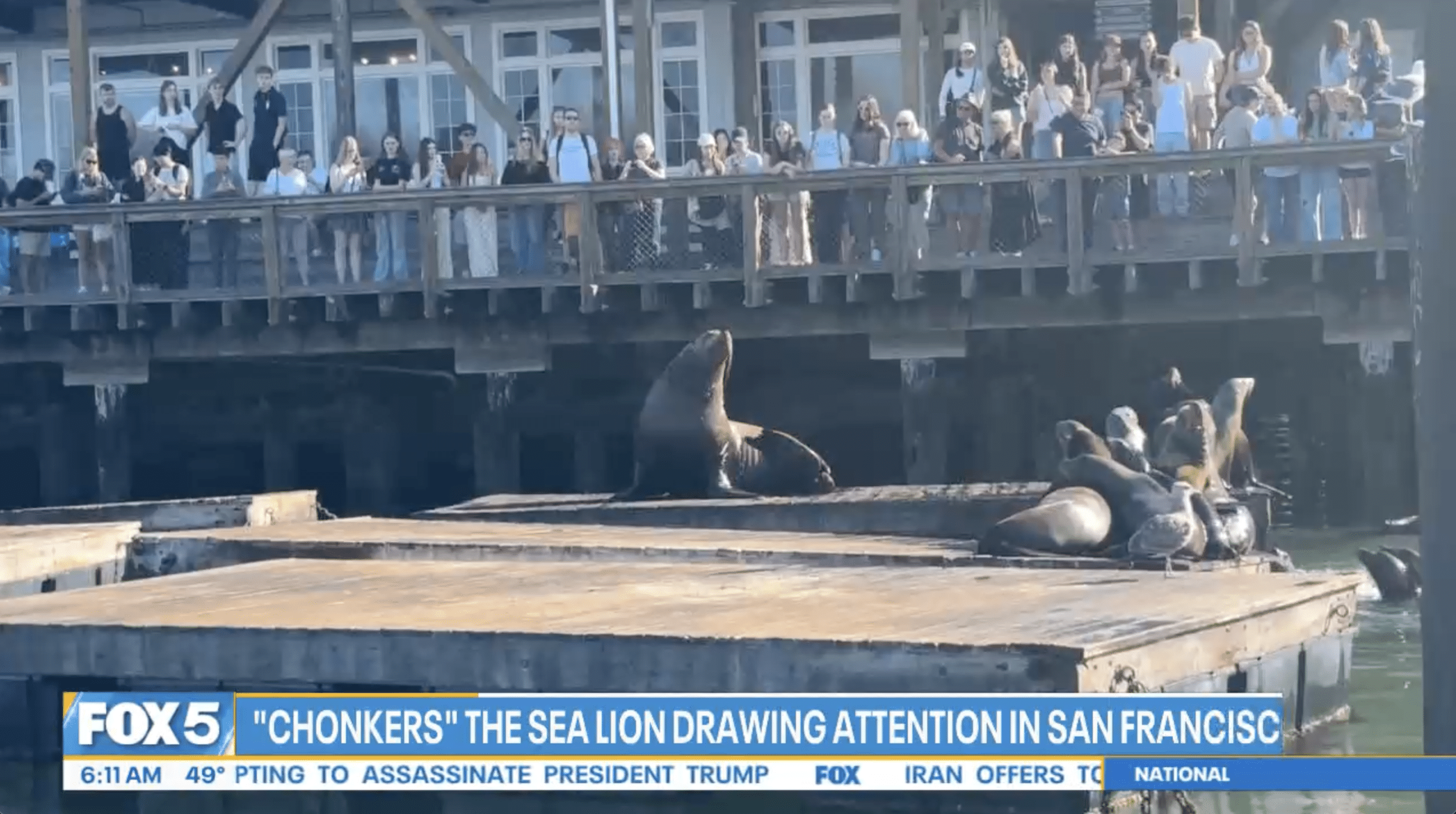 FOX 5 - Good Day New York