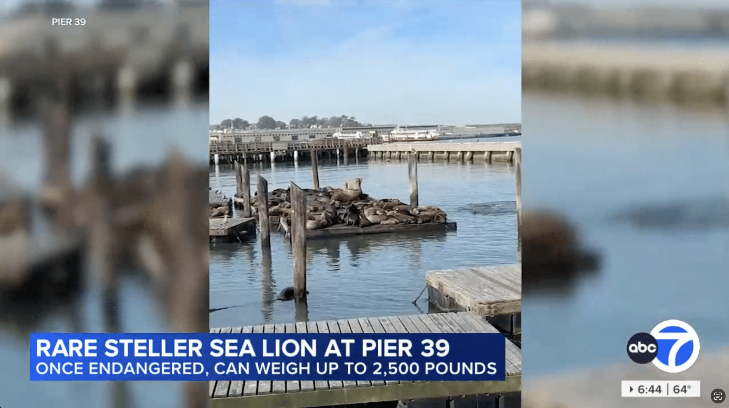 ABC7 News - 6 PM News