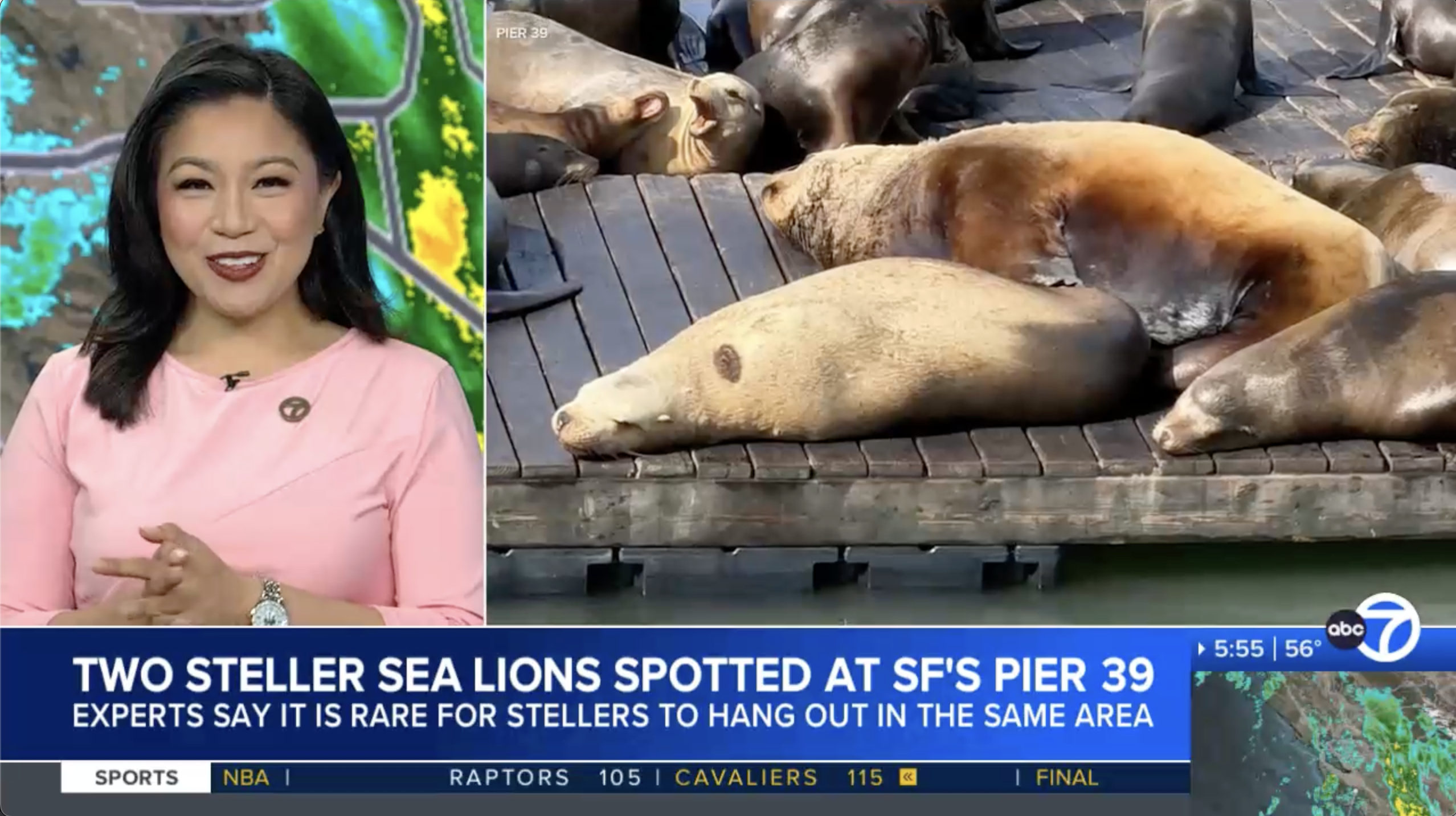 ABC7 News - 5 AM News