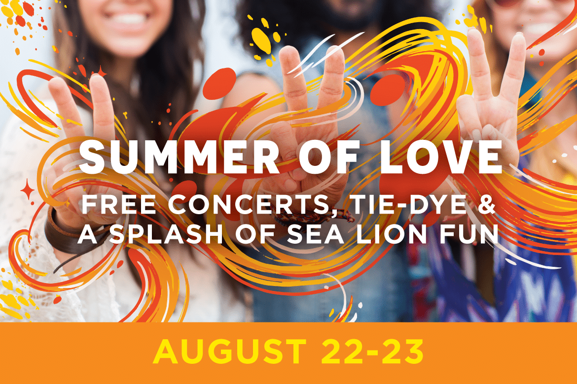 Celebrate Summer of Love at PIER 39!