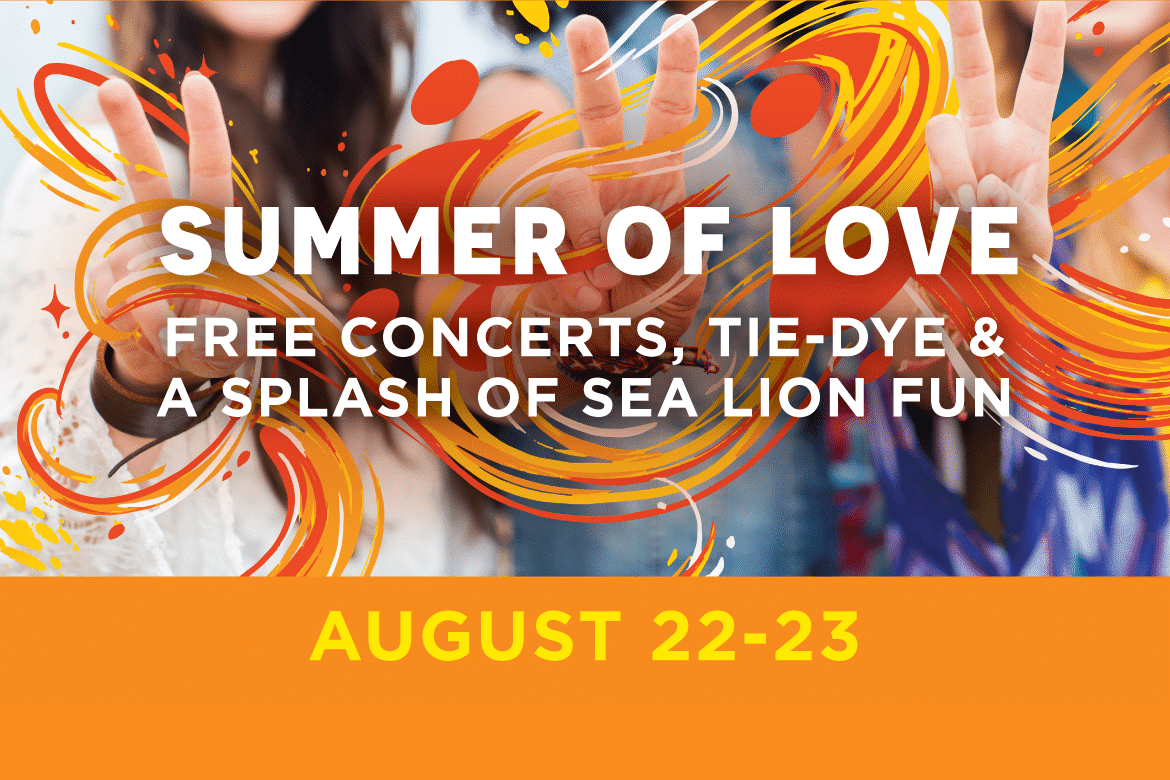 Celebrate Summer of Love at PIER 39!